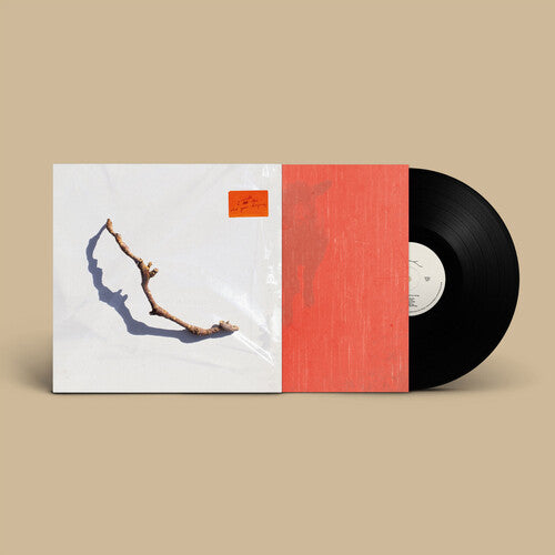 PJ Harvey - I Inside The Old Year Dying Vinyl