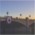the album cover for Early November - Fifteen Years