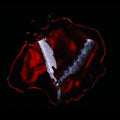 the album cover for Black Veil Brides - Bleeders