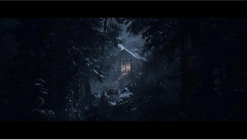 Until Dawn for Playstation 5 - PS5