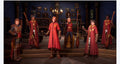 Swi Harry Potter: Quidditch Champ Dlx Cib for Nintendo Switch - Switch