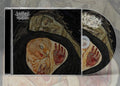 the album cover for Mosaic Window - Hemasanctum