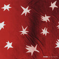 the album cover for Citizen - As You Please [Colored Vinyl] (Red) (Wht) (Spla) (Can)