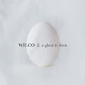 Wilco - A Ghost Is Born Vinyl