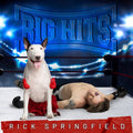 Rick Springfield - Big Hits: Rick Springfield's Greatest Hits, Vol. 2 CD