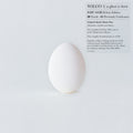 the album cover for Wilco - A Ghost Is Born (Deluxe Edition) -  [9LP/4CD BOX SET]