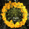 Harold Budd - Avalon Sutra Vinyl