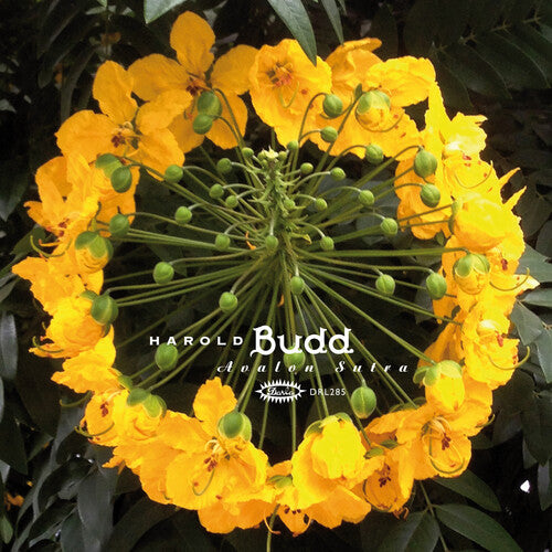 Harold Budd - Avalon Sutra Vinyl