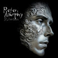 the album cover for Unknown Artist - Silver Shade