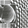 the album cover for Spleen - Demos (Uk)