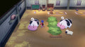 Story Of Seasons: Grand Bazaar Standard Edition for Nintendo Switch - Switch