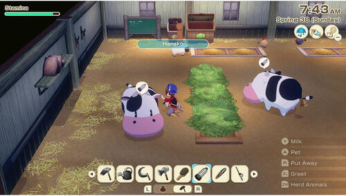 Story Of Seasons: Grand Bazaar Standard Edition for Nintendo Switch - Switch