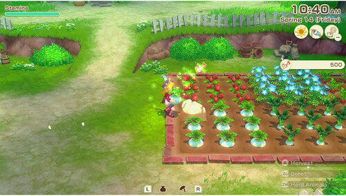 Story Of Seasons: Grand Bazaar Standard Edtion for Nintendo Switch 2 - Switch 2