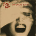 Third Eye Blind - Third Eye Blind (Elektra 75) Vinyl