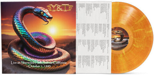 Y&T - Live at Sherwood Hall, Salinas, California - October 1, 1983 - Clear Tangerine with yellow swirl Vinyl