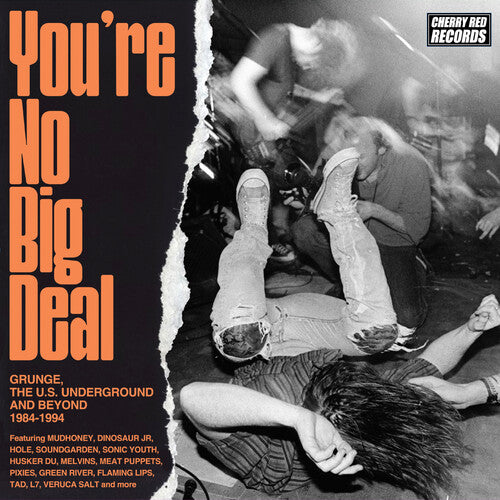 You're No Big Deal: Grunge, The U.S. Underground & Beyond 1984-1994 / Various CD