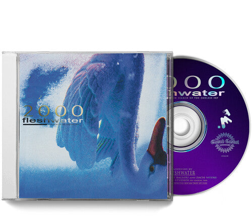 Fleshwater - 2000: In Search Of The Endless Sky CD