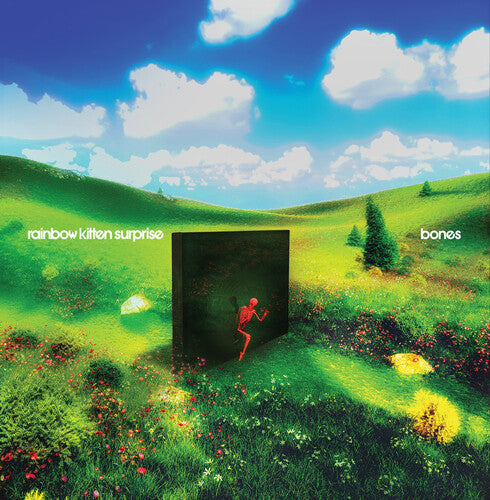 Rainbow Kitten Surprise - bones     (Black Vinyl) Vinyl