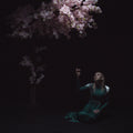 the album cover for Daedric - As The Light Left [Colored Vinyl] [Limited Edition]