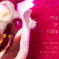 Trio of Bloom - Trio Of Bloom CD