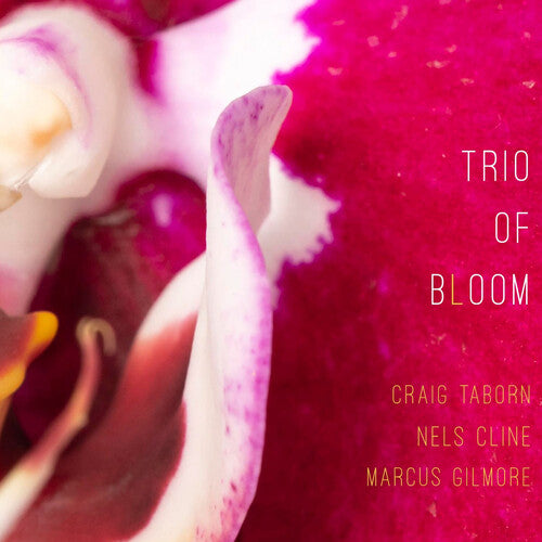 Trio of Bloom - Trio Of Bloom CD