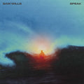 the album cover for Sam Wills - Speak