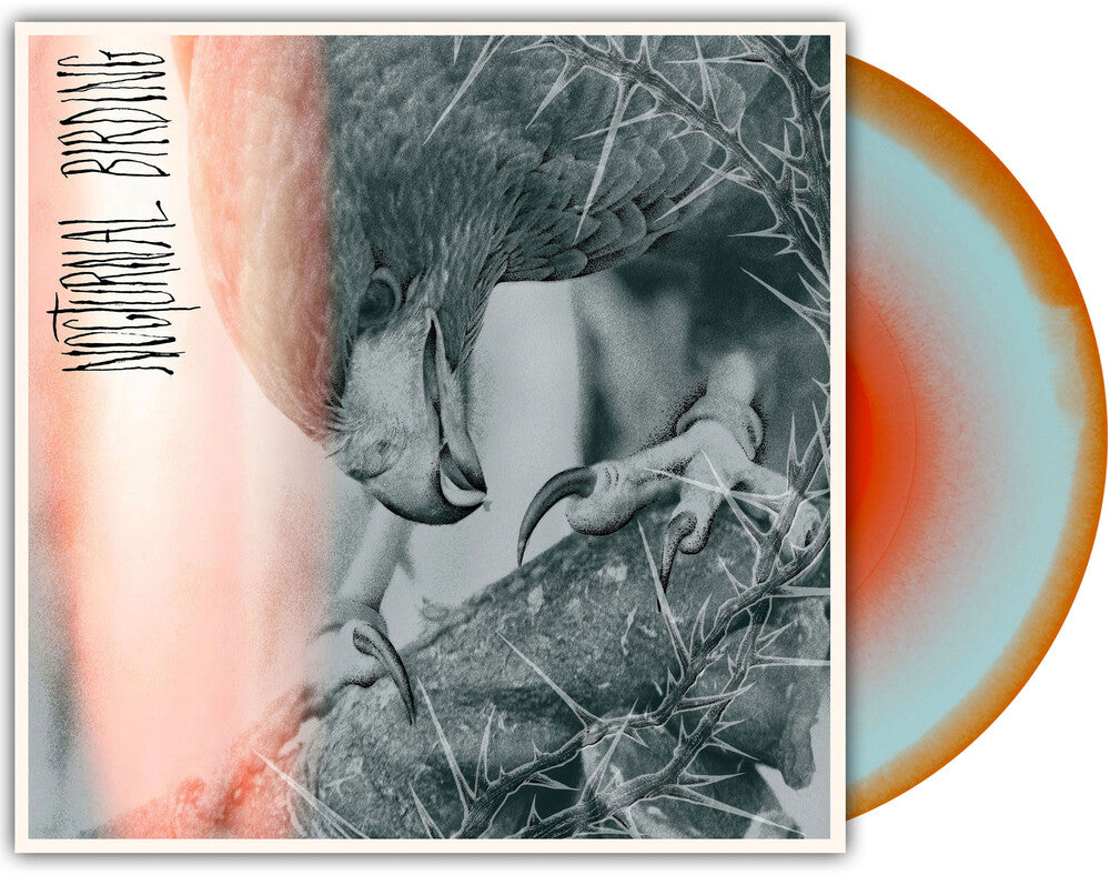 the album cover for Author &amp; Punisher - Nocturnal Birding [Custom Merge LP]