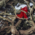 Hannah Frances - Nested In Tangles Vinyl