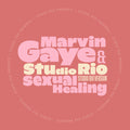 Marvin Gaye - Sexual Healing Vinyl