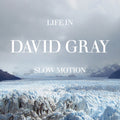 David Gray - Life in Slow Motion (20th Anniversary Edition) Blue Vinyl