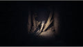 REANIMAL for Xbox Series X - Xbox Series X