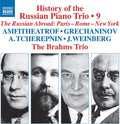 Brahms Trio - History of the Russian Piano Trio, Vol. 9 CD
