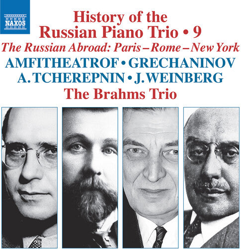Brahms Trio - History of the Russian Piano Trio, Vol. 9 CD