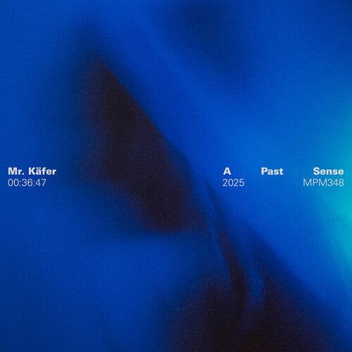 Mr. Käfer - A Past Sense Vinyl