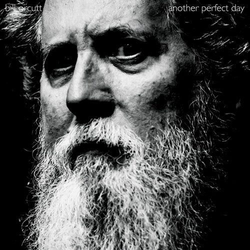 Bill Orcutt - Another Perfect Day Vinyl
