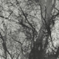 Grouper - Way Their Crept Vinyl