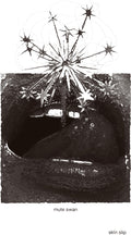 the album cover for Mute Swan - Skin Slip [Purple]