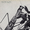 the album cover for Courtney Barnett - Creature of Habit
