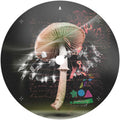 the album cover for Lusu - Move 2 The Groove