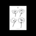 the album cover for Lawrence - Poppies (Ep)