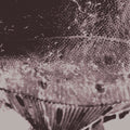 the album cover for Mark Ijzerman - Flounder Maps