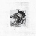 the album cover for Amulets - Rema(I)Nders