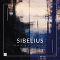 the album cover for Annika Treutler  & Aris Quartett - Sibelius: Piano Quintet & Miniatures