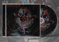 the album cover for Cognizance - In Light No Shape