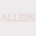 the album cover for Quarks - Allein