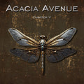 the album cover for Acacia Avenue - Chapter V