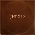 the album cover for Jungle - Sunshine [Indie Exclusive Desert Peach]