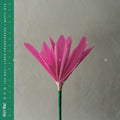 the album cover for Kiri Ra - Nen