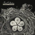 the album cover for Iverson & Walters - First Collection (Aniv) [Reissue]