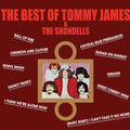 the album cover for Tommy James & The Shondells - Best of Tommy James & the Shondells